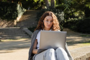 Young and curly freelancer in wired earphones using laptop while sitting on parapet and spending time in blurred green park at daytime in Barcelona, Spain  clipart