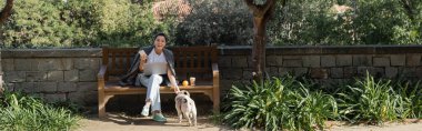 Cheerful young freelancer in earphones holding smartphone and petting pug dog while sitting near laptop, coffee to go and orange on wooden bench in park in Barcelona, Spain, banner, orange tree clipart