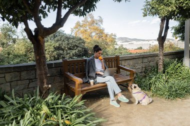 Genç serbest çalışan, elinde taze turuncu bir ceket ve kahvenin yanında dizüstü bilgisayarı kullanarak Barselona, İspanya 'da parktaki bitkilerin yanındaki ahşap bankta ve pug sosisli sandviç yiyor.  