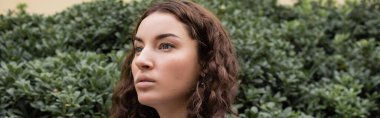 Portrait of pretty and curly young woman looking away while standing near blurred green plants on urban street at daytime in Barcelona, Spain, banner  clipart