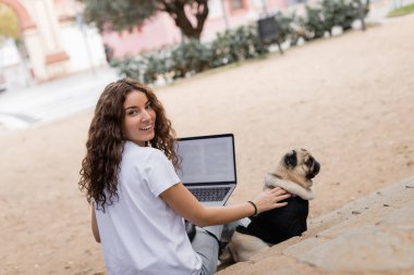 Positive young and curly freelancer in casual clothes looking at camera while holding laptop and petting pug dog on stairs in blurred park in Barcelona, Spain, white t-shirt  clipart