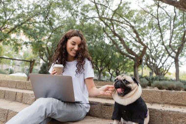 Smiling and curly freelancer in casual clothes holding coffee to go near laptop and petting pug dog while sitting on stairs in blurred park in Barcelona, Spain  clipart