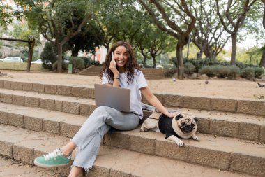 Pozitif ve kıvırcık genç serbest çalışan bilgisayarın yanında akıllı telefondan konuşuyor, Barcelona, İspanya 'da parkta merdivenlerde otururken kameraya bakıyor ve köpeğini okşuyor. 
