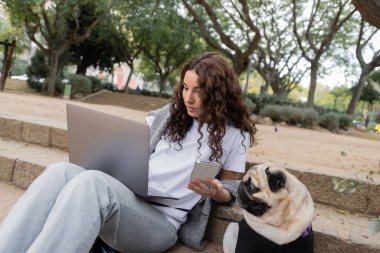 Young and curly freelancer in casual clothes with sweater using smartphone and laptop while sitting on stairs near pug dog and spending time in blurred park in Barcelona, Spain  clipart