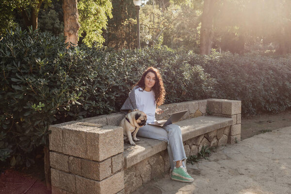 Young and curly freelancer looking at camera while using devices and petting pug dog and sitting on stone bench beside green plants in park in Barcelona, Spain 