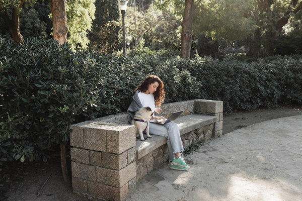 Curly freelancer in casual clothes using gadgets while spending time and working near pug dog sitting on stone bench in green park at daytime in Barcelona, Spain 