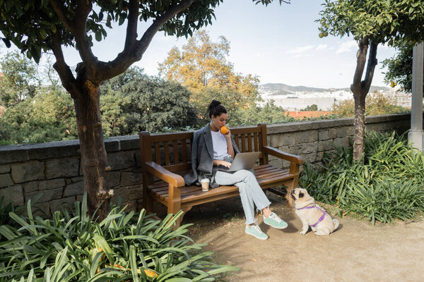 Young freelancer in warm jacket holding fresh orange and using laptop near coffee to go on wooden bench and pug dog near plants in park in Barcelona, Spain, work from anywhere  