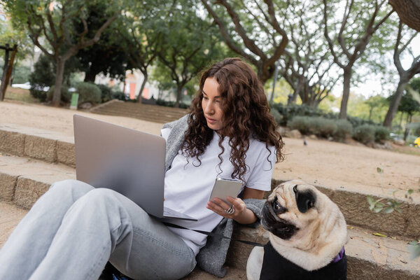 Young and curly freelancer in casual clothes with sweater using smartphone and laptop while sitting on stairs near pug dog and spending time in blurred park in Barcelona, Spain 