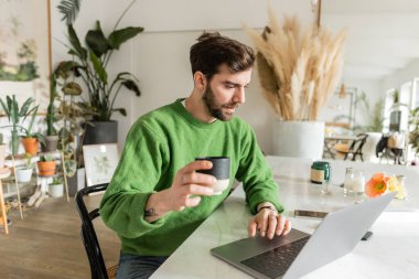 Yeşil kazaklı sakallı girişimci elinde kahve fincanıyla evde dizüstü bilgisayar kullanıyor. 