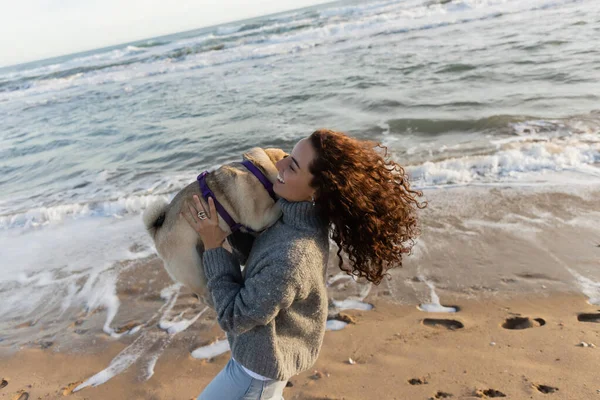 Happy and curly young woman holding pug dog on beach near sea in Barcelona — Stock Photo