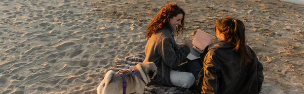 Cheerful women using laptop near pug dog on beach during sunset, banner — Foto stock