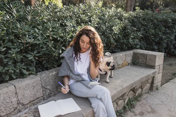 Young and curly woman in sweater talking on smartphone and holding marker near notebook with copy space and pug dog on stone bench near green bushes in park in Barcelona, Spain — Stock Photo