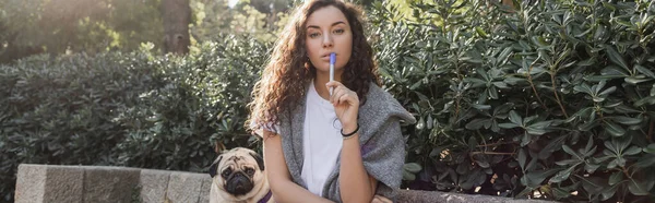 Curly and young woman in casual clothes holding marker near lips and looking at camera near pug dog sitting on stone bench near green bushes in park in Barcelona, Spain, banner — Stock Photo