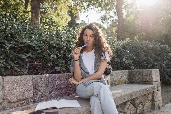 Curly young woman in casual clothes looking at camera and holding marker near lips and sitting next to smartphone, notebook and pug dog, on stone bench in park in Barcelona, Spain — Stock Photo