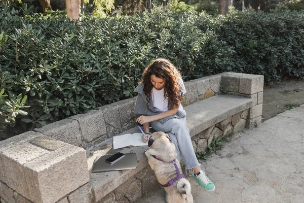Bouclé et jeune femme en vêtements décontractés écrivant sur un cahier près de gadgets et chiot chiot assis sur un banc de pierre tout en passant du temps dans un parc vert à Barcelone, Espagne — Photo de stock