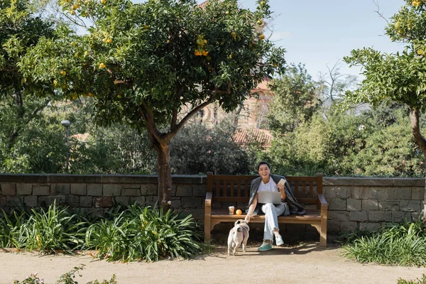 Carefree young freelancer in earphones holding smartphone and looking at camera near laptop, pug dog and coffee to go on wooden bench in park at daytime in Barcelona, Spain, orange tree — Stock Photo
