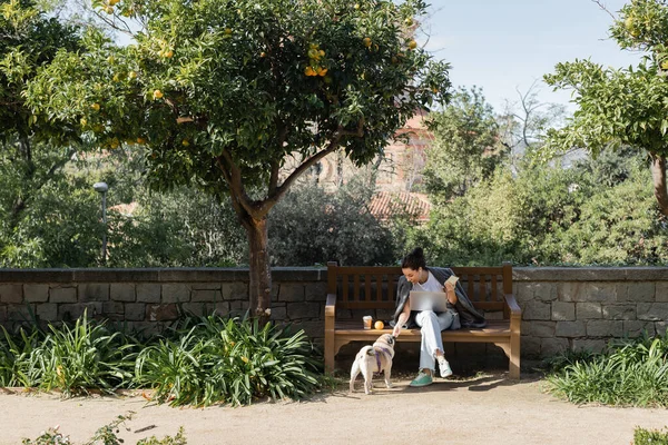 Positive freelancer in earphones petting pug dog and using gadgets while sitting near coffee to go and fresh orange on wooden bench and spending time in park in Barcelona, Spain, orange tree — Stock Photo