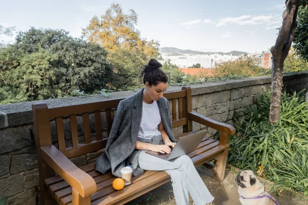 Joven freelancer morena en chaqueta abrigada trabajando en portátil cerca de café para ir y naranja fresca en banco de madera y perro pug sentado en el parque en Barcelona, España, durante el día - foto de stock