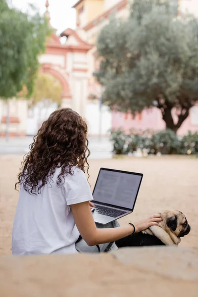 Back view of brunette and curly young freelancer in casual clothes using laptop and petting pug dog while sitting in blurred park at daytime in Barcelona, Spain, white t-shirt — Stock Photo