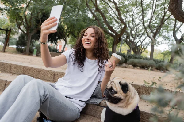 Mujer alegre joven y rizada en ropa casual que tiene videollamada en el teléfono inteligente y la celebración de un café para llevar cerca del perro pug sentado en las escaleras en el parque borroso durante el día en Barcelona, España - foto de stock