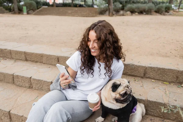 Overjoyed young curly woman in casual clothes using smartphone and holding coffee to go while sitting near pug dog on stairs in blurred park in Barcelona, Spain — Stock Photo