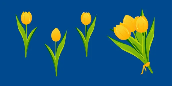 Ensemble Fleurs Tulipes Plantes Fleurs Aux Pétales Jaune Vif Illustration — Image vectorielle