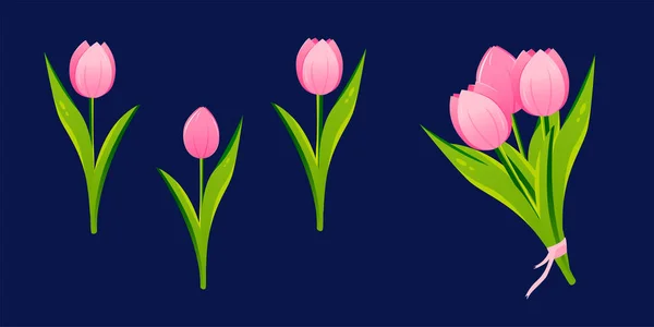 Ensemble Fleurs Tulipes Plantes Fleurs Aux Pétales Roses Illustration Vectorielle — Image vectorielle