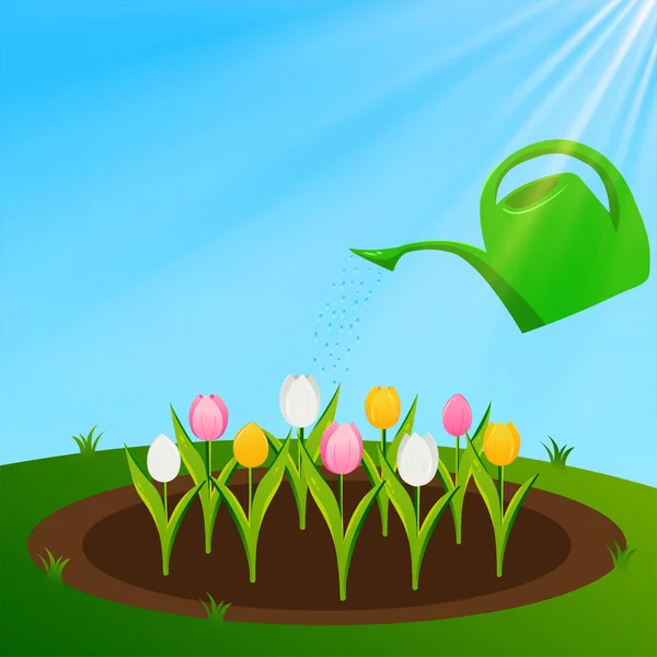 Les Tulipes Poussent Dans Jardin Soin Des Fleurs Illustration Vectorielle — Image vectorielle