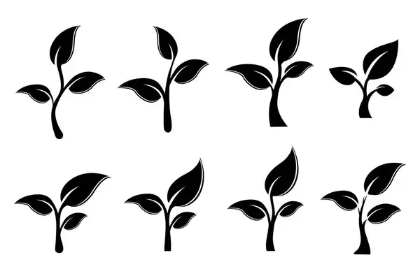 Conjunto Brotos Logotipo Vetorial Preto Galho Com Três Folhas Conceito — Vetor de Stock