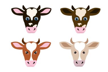 Vektör inek kafası ya da inek cinsi. Sığır ve ineklerin çizimleri.