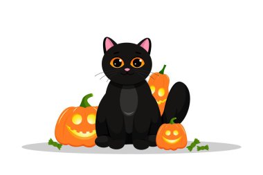 Beyaz arka planda düz dizayn edilmiş Cadılar Bayramı kedisi arka planı