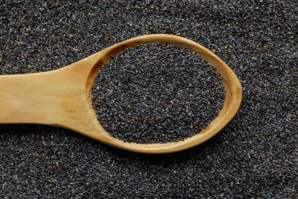 poppy seeds on wooden spoon - poppy seeds background