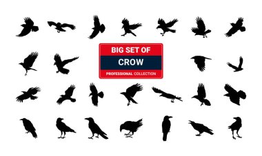 Kara karga kuş Cadılar Bayramı temalı vektör silueti tasarımı