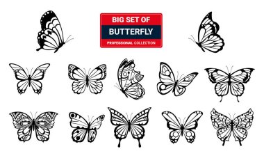 Kelebek, vektör çizim siluetleri kümesi