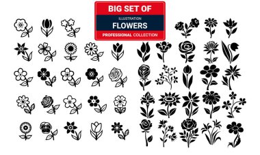 Çiçek simgeleri vektör koleksiyonu, illüstrasyon şablonu modaya uygun. Birçok amaç için uygun siyah renkler ve beyaz arkaplan 