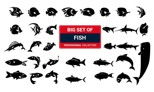 stock vector Sea fish and monster silhouette set isolated on white background vector illustration