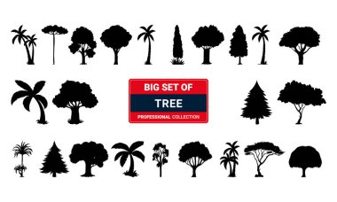 Ağaç ve plaj logosunun vektör çizimi. Ağlar için ağaç ve gökyüzü sembolü koleksiyonu.