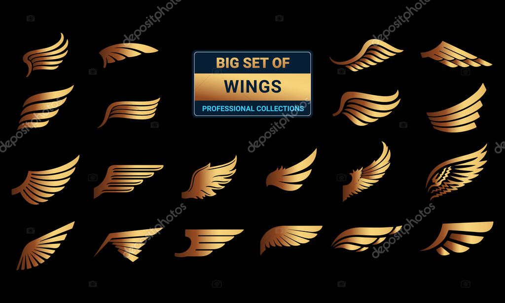 Vector illustration of a set of black and gold stripes