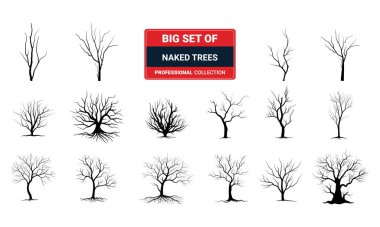 Çıplak ağaç siluetleri yerleştirildi. El çizimi izole çizimler