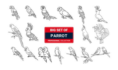 Beyaz arka plan üzerinde izole amazon ormanları, papağan siluetleri vektör