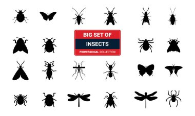 Böcek koleksiyonu - vektör siluet
