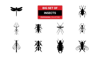 Böcek koleksiyonu - vektör siluet