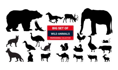 Modern ince çizgi simgelerinden oluşan bir set. Mobil ve web için izole işaretler. Yüksek kalite resimli resimler. İş, tıbbi, UI ve UX, medya, para, seyahat gibi doğrusal simgeler.