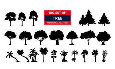 Modern ince çizgi simgelerinden oluşan bir set. Mobil ve web için izole işaretler. Yüksek kalite resimli resimler. İş, tıbbi, UI ve UX, medya, para, seyahat gibi doğrusal simgeler.