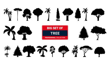 Modern ince çizgi simgelerinden oluşan bir set. Mobil ve web için izole işaretler. Yüksek kalite resimli resimler. İş, tıbbi, UI ve UX, medya, para, seyahat gibi doğrusal simgeler.