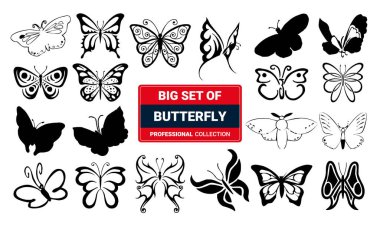 Kelebekler beyaz arka planda izole edilmiştir. Çocuklar için bahar paleti olan sevimli kelebek vektörü.