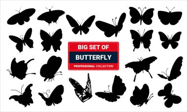 Kelebekler beyaz arka planda izole edilmiştir. Çocuklar için bahar paleti olan sevimli kelebek vektörü.