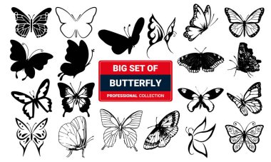 Kelebekler beyaz arka planda izole edilmiştir. Çocuklar için bahar paleti olan sevimli kelebek vektörü.