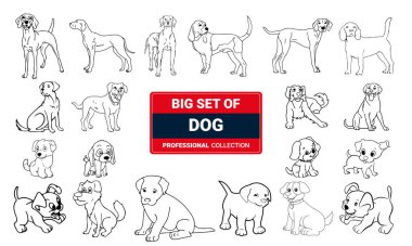 Köpekler ve köpeklerin vektör çizimi, beyaz arka planda izole edilmiş farklı türler kümesi.