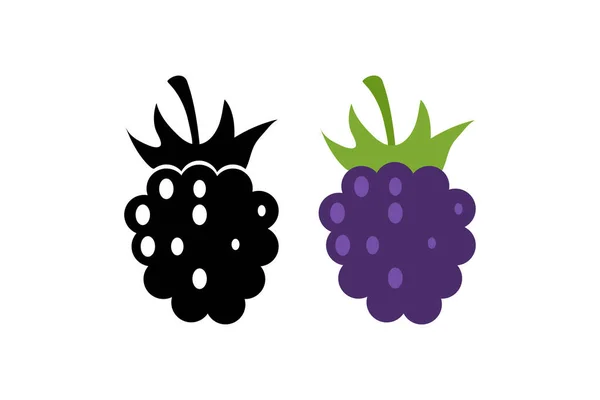 Blackberry Icoon Berry Illustratie Symbool Borduren Vector Plat — Stockvector